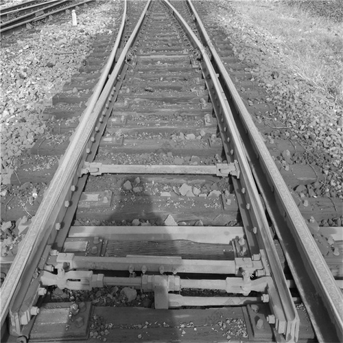 timg (2).jpg timg (2).jpg